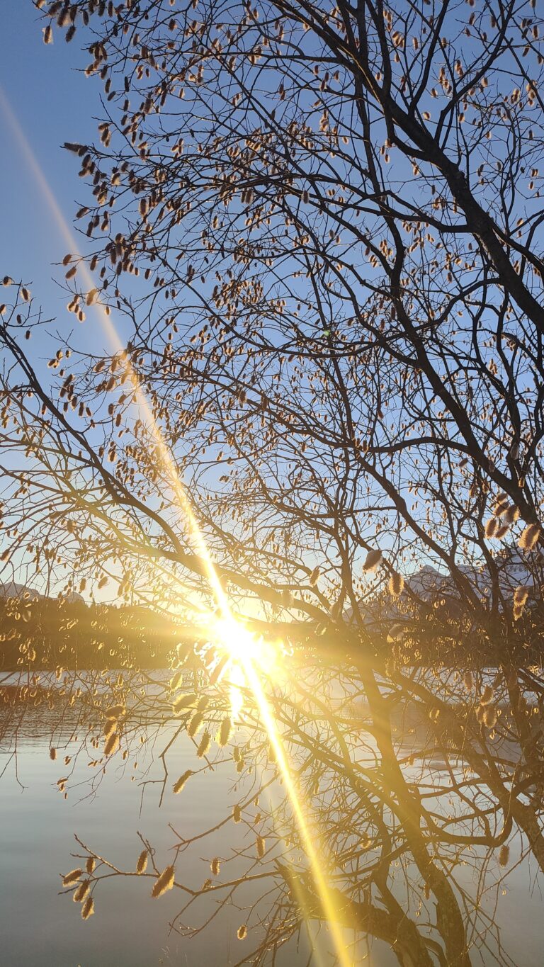 Sonnenschein! Aber Achtung?